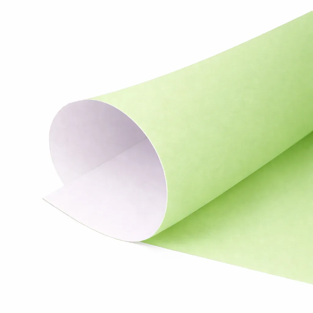 Pack 25 unidades Cartulina color PP9 140g 70x50cm verde claro - Aladdin