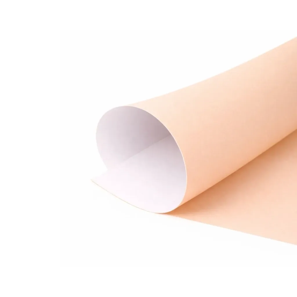 [kit-1521] Pack 25 unidades Cartulina color PP9 160g 70x50cm piel (beige) - Aladdin